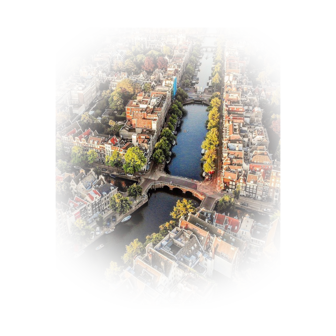 Overlay Image 4